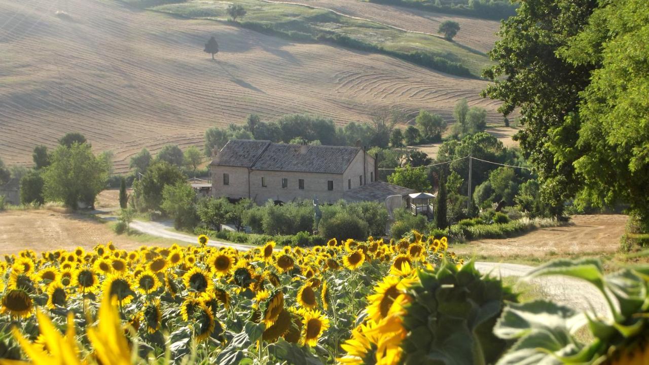 "La Casa Degli Ulivi Art B&B" Trecastelli Extérieur photo