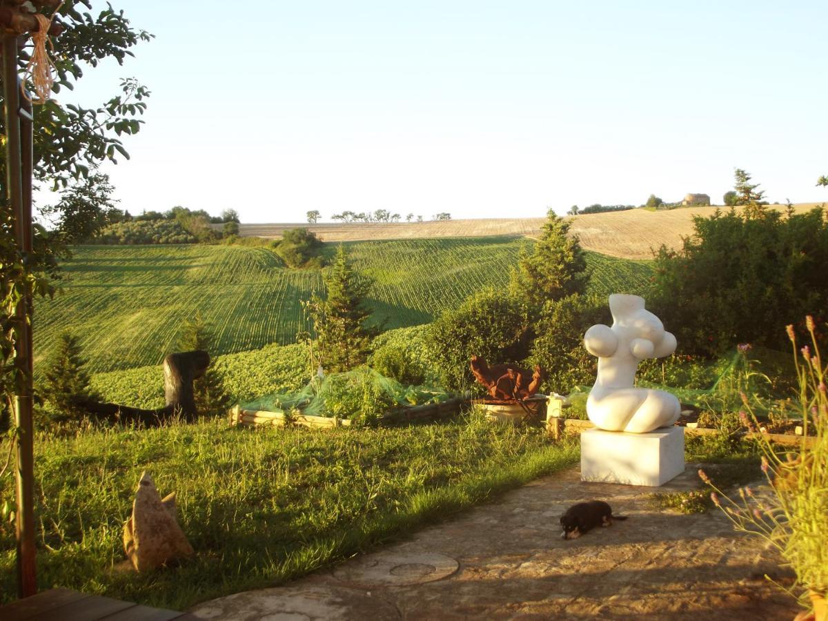 "La Casa Degli Ulivi Art B&B" Trecastelli Extérieur photo