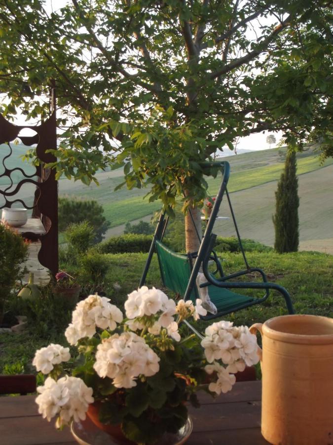 "La Casa Degli Ulivi Art B&B" Trecastelli Extérieur photo