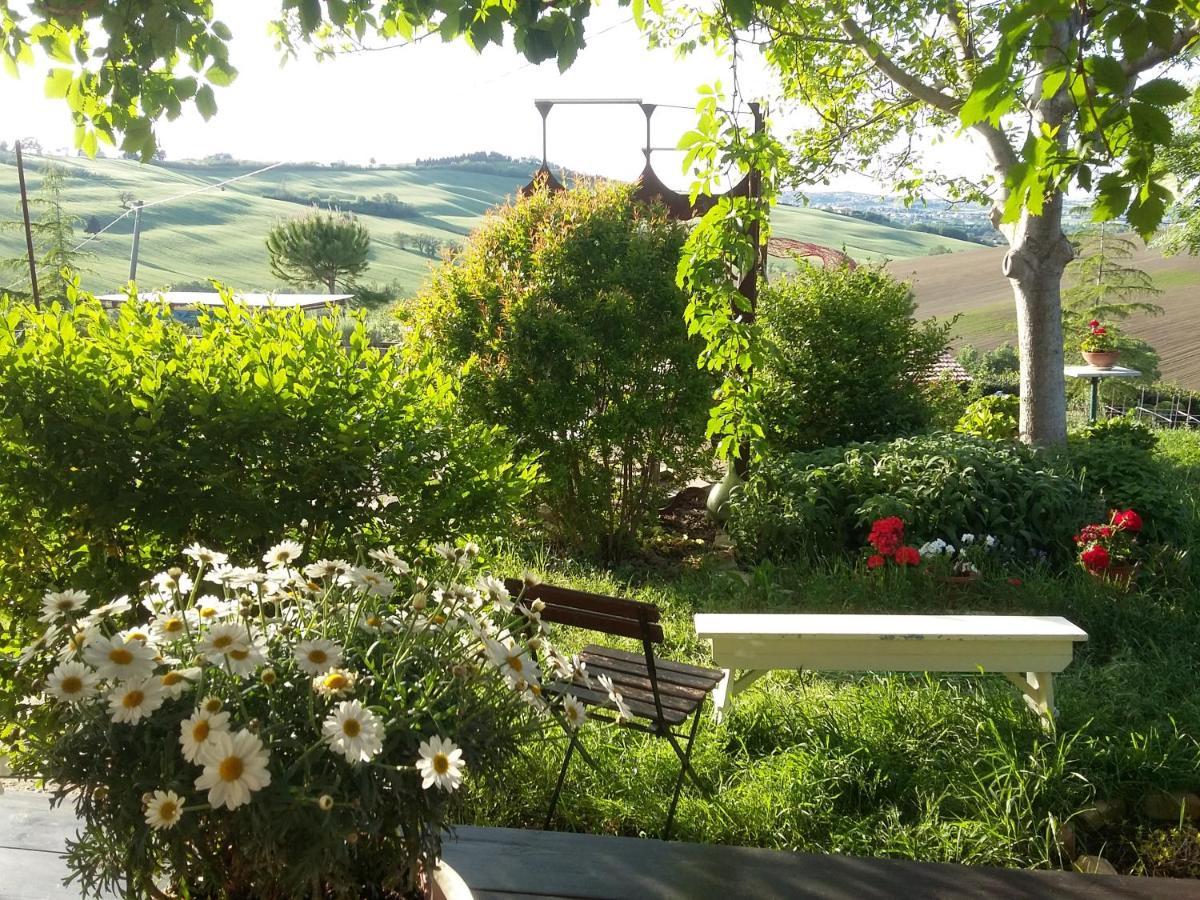 "La Casa Degli Ulivi Art B&B" Trecastelli Extérieur photo