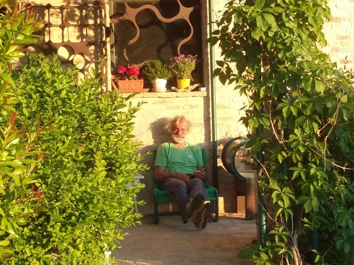 "La Casa Degli Ulivi Art B&B" Trecastelli Extérieur photo